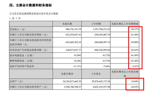 南國置業半年報分析 毛利率28.7%但仍虧損4.23億，物業管理業態承壓